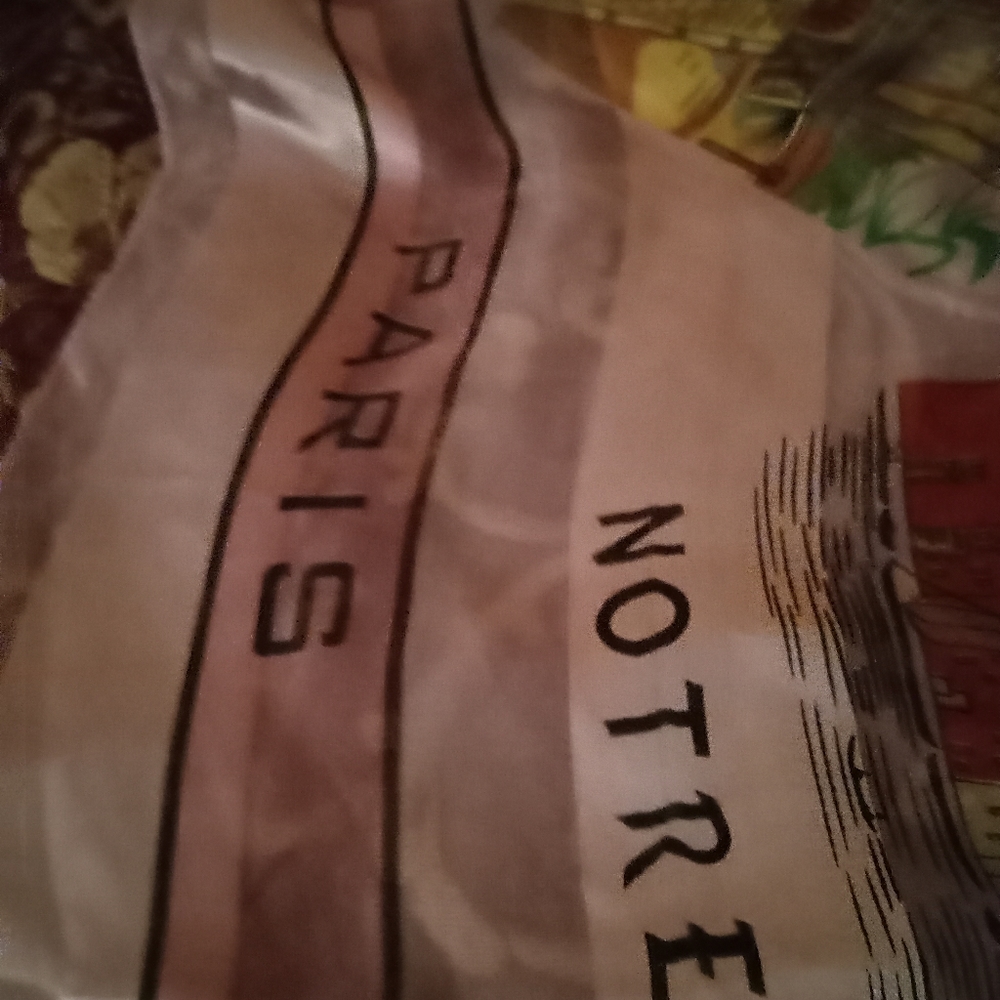 Paris Scarf Paris Graphics - image 6